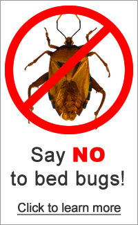 Say No to Bed Bugs